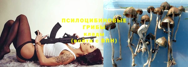твердый Нязепетровск