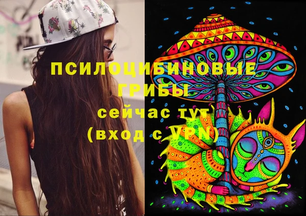 прущая мука Няндома