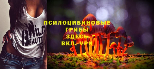 твердый Нязепетровск
